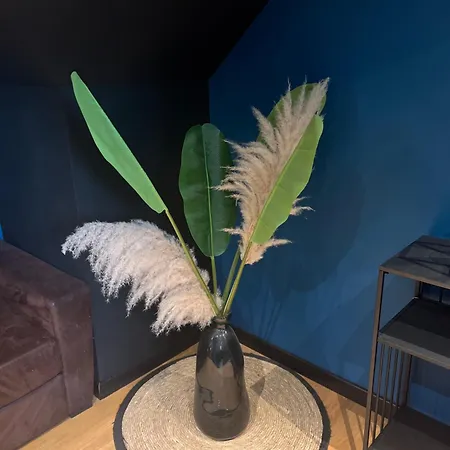 Kwatera prywatna Spacieuse Like&love De Clara Duclair