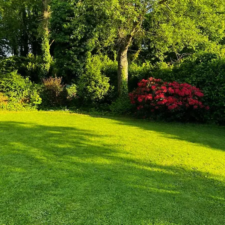 La Parenthese Cosy Avec Salon Prive 25m2 Wifi Netflix *